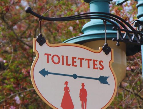 Signalétique toilettes Disney